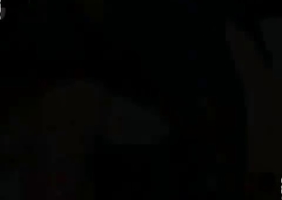 Black dog can't stop fucking a slut