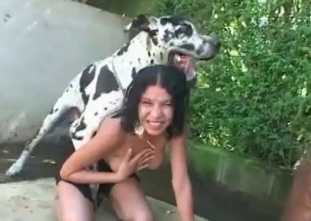 Fall in love with this hound's huge aggregate