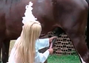Sexy babe is pleasing a horse wildly
