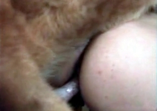 Watch a chick having an anal sex with a mutt