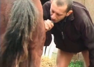Old pervert is fucking with a stallion