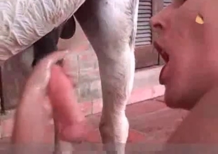 Massive horse is making this lady happy