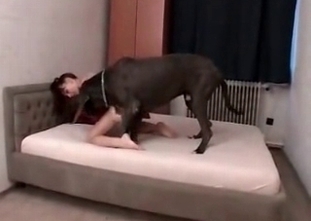 Hot hound wants this slut to feel a great pleasure