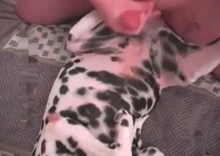 Passionate hound is getting punished with energy