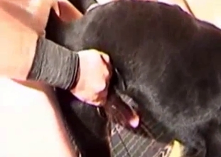 Shoving my palm in a small doggy asshole