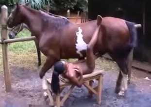 Young ebony gets drilled by her horse