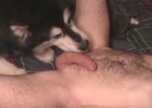 Freaking awesome amateur doggy bestiality sex action