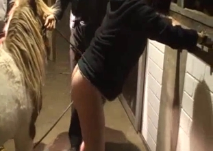 Tight crack gets totally banged by a white horse