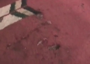 Wild doggy is showing this lady what a great orgasm is