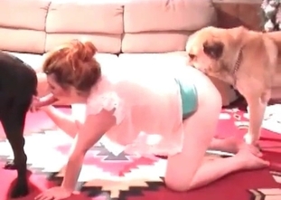 Ginger whore is playing with a hound wildly
