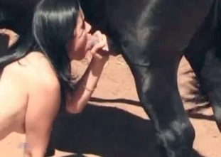 Sexy lady is sucking a horse's massive cock