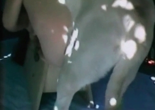 Join a slut tasting this puppy's dick