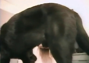 Dirty beast is taking part in an anal fuck