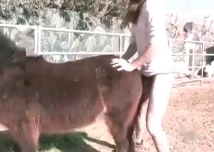 Lustful beast is getting punished so hard