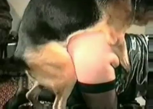 Sweet mutt is fucking this kinky model