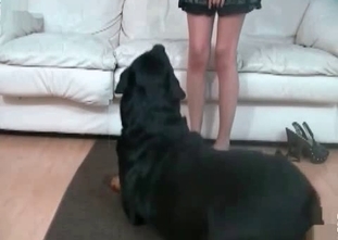 Black dog can't stop fucking a slut