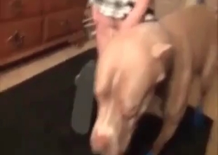 Sensational animal fuck with a beast