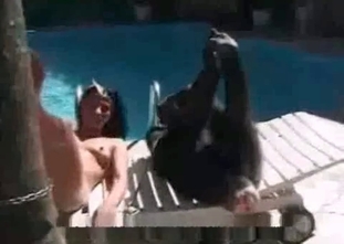 Sexy monkey is banging a slut