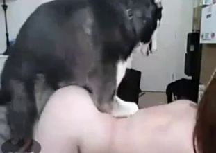 Awesome husky bangs a passionate zoophile