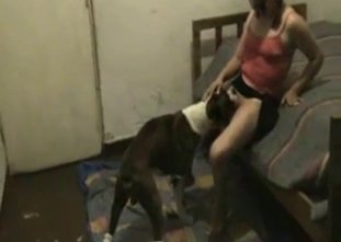 Spotted dog is trying to lick my pussy