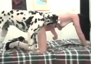 Deep fuck with a lovely hound