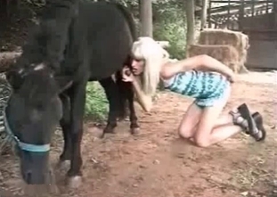 Nothing is better for her than sucking a stallion's dick