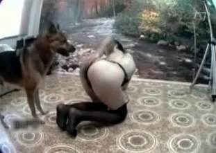 Massive hound is banging a lady