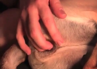 Ass fucking session with a tender cur
