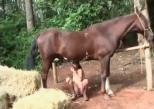 Sweet brunette is sucking a horse's big dick